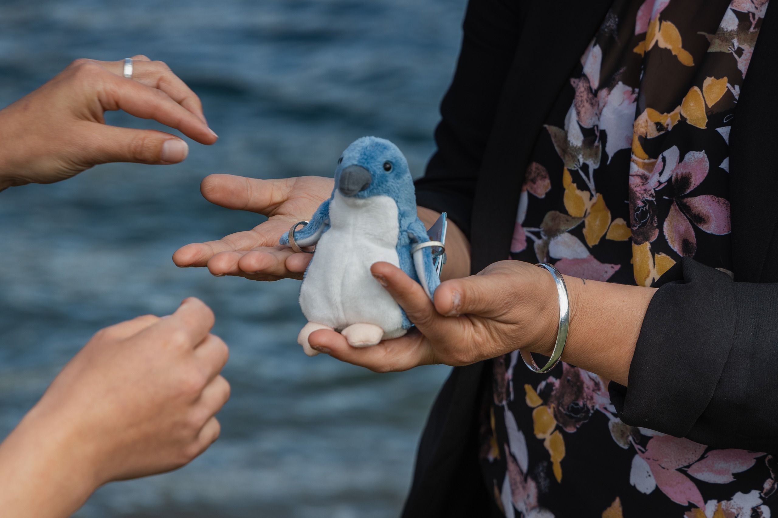 moke lake elopements