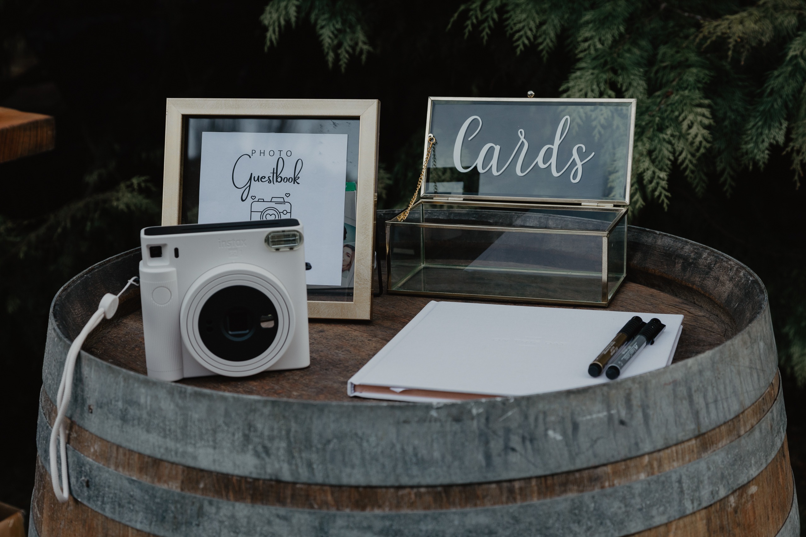 The Most Picturesque and Best Wedding Venues in Queenstown: Top Picks