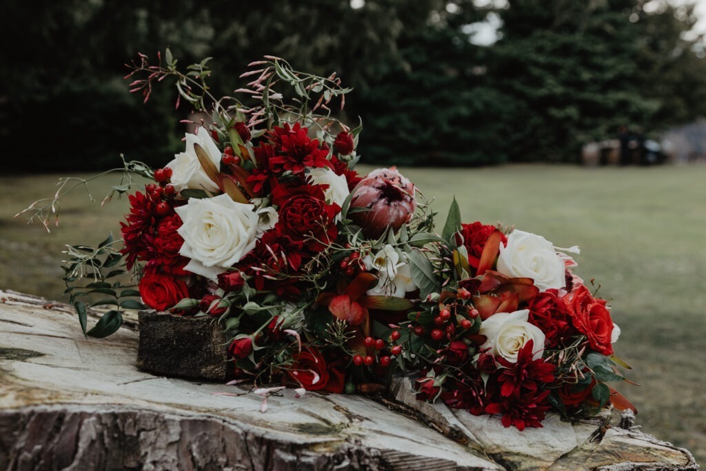 queenstown wedding photographer