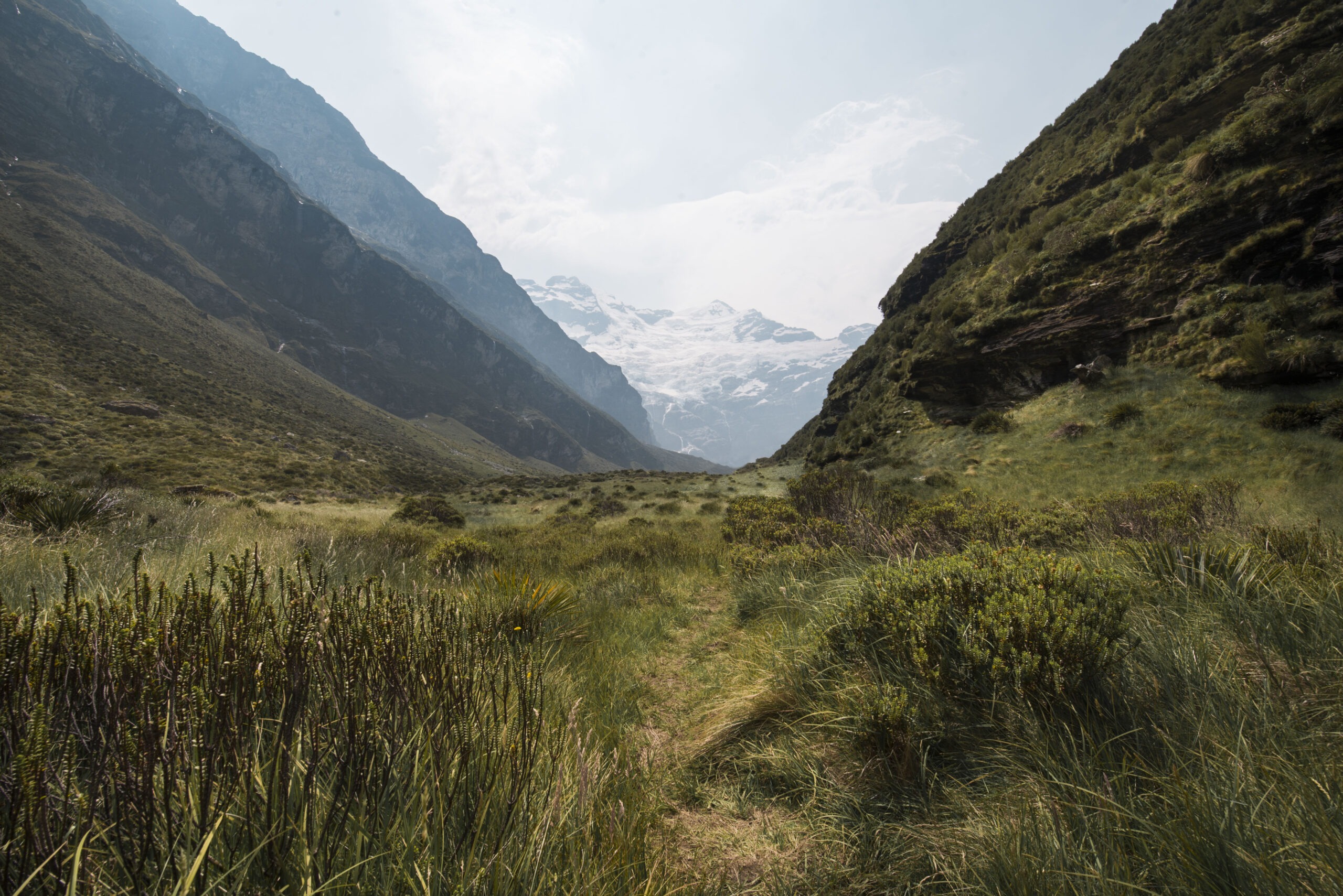 Planning Your New Zealand Helicopter Elopement: Tips and Advice